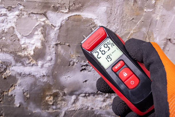 Best Certified Mold Removal  in Florham Park, NJ