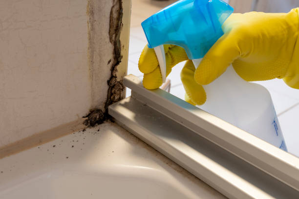 Best Commercial Mold Removal  in Florham Park, NJ