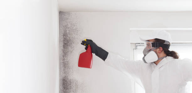 Best Home Mold Removal  in Florham Park, NJ