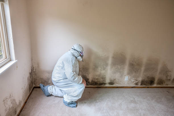 Best Professional Mold Removal  in Florham Park, NJ